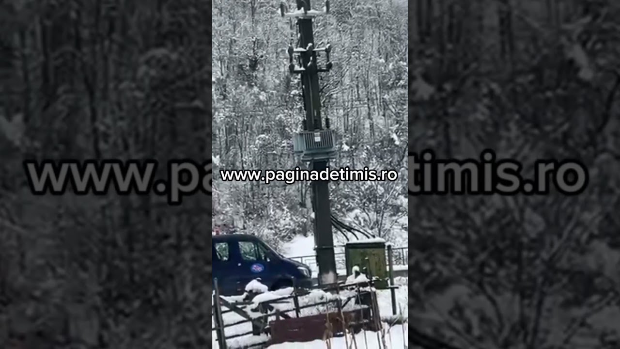 De mai bine de 24 de ore, locuitorii din Tomești sunt fără curent