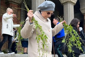 Mănunchi de ramuri de salcie înflorite, pregătite pentru a fi sfințite la slujba de Florii în biserică.