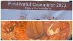 Festivalul Ceaunelor