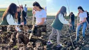 Codru verde, la Iohanisfeld