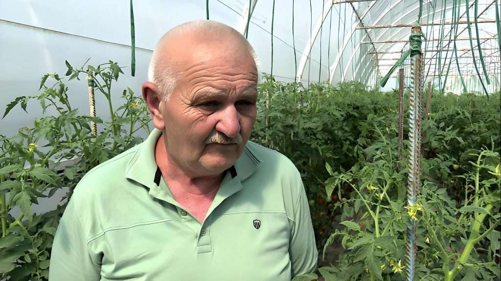 Ioan Jivu Legume Bio Belinț