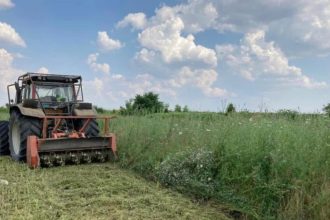 Polițiști locali din Moșnița Nouă în timpul unui control pe terenuri neigienizate