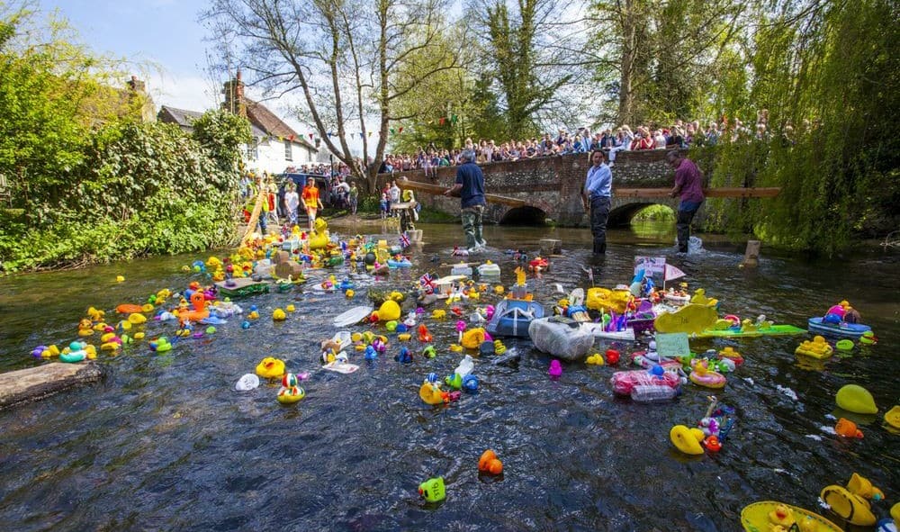 ursa Rățuștelor pe Bega este mai mult decât un eveniment – este o mișcare a comunității care crede în puterea educației și în șansa la un viitor mai bun pentru toți copiii.