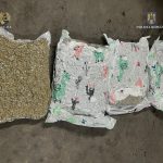 Polițiști ai Brigăzii de Combatere a Criminalității Organizate Timișoara ridicând un colet cu droguri în timpul unei acțiuni antidrog