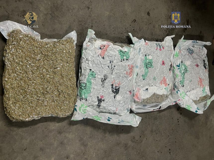 Polițiști ai Brigăzii de Combatere a Criminalității Organizate Timișoara ridicând un colet cu droguri în timpul unei acțiuni antidrog