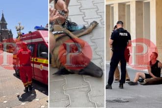 Femeie mușcată de câine la Timișoara