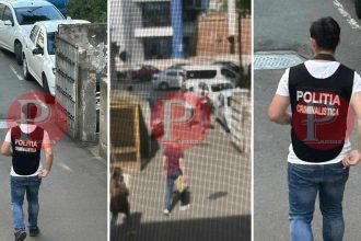 Perchezitii la Spitalul Municipal din Timișoara