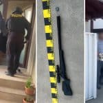 Bărbat reținut de polițiști după ce a tras cu arma după porumbei și a pătruns fără drept într-o curte din Remetea Mare