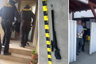 Bărbat reținut de polițiști după ce a tras cu arma după porumbei și a pătruns fără drept într-o curte din Remetea Mare