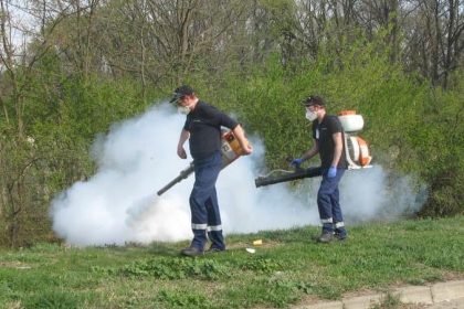 Utilaj specializat pulverizând soluție pentru combaterea țânțarilor și a larvelor pe o stradă din Timișoara în timpul nopții.