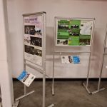 Proiect de grădină sustenabilă realizat de studenții USVT, expus la Iulius Mall Timișoara în cadrul expoziției de peisagistică 2025