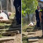 Bărbat de 75 de ani imobilizat de poliție la Tomești după ce și-a atacat soția cu un cuțit”