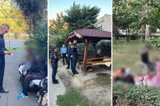 Polițiștii IPJ Timiș și Poliția Locală Timișoara în acțiune preventivă în Complexul Studențesc pentru prevenirea cerșetoriei și menținerea ordinii publice.