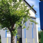 Elevii din Timișoara și Hațeg premiați la concursul internațional UNESCO The Water We Want 2025 prin Aquatim