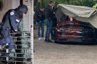 Percheziții la membrii clanurilor implicate în răfuiala de pe podul din Timișoara