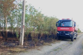 Incendiu vegetație Ghilad