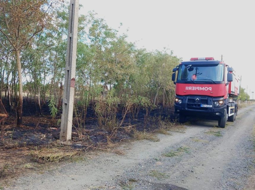 Incendiu vegetație Ghilad