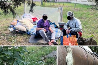 Polițiștii locali din Timișoara preiau zilnic cerșetorii și oamenii străzii