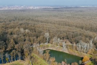Amenajare pentru Padurea Verde din Timisoara ca padure parc cu trasee de plimbare si zone de relaxare