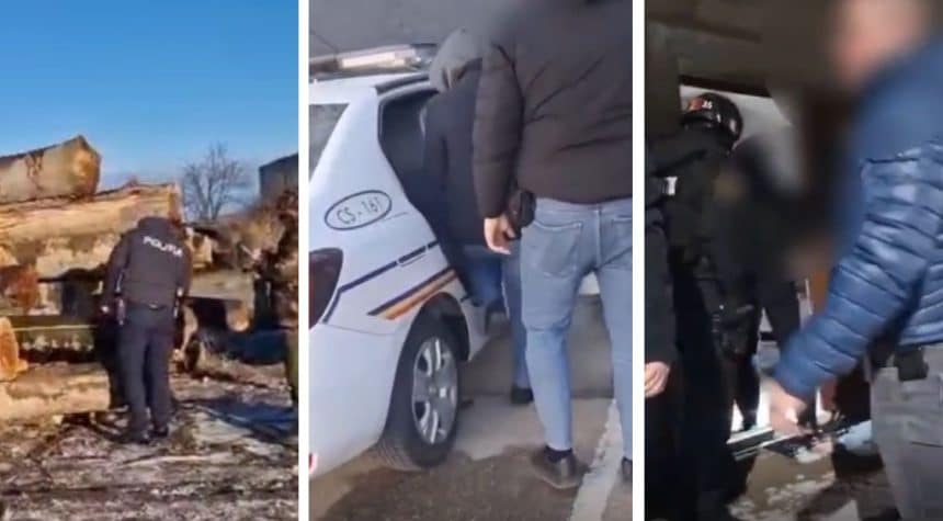 Percheziție la ocolul silvic din Caraș-Severin pentru falsificarea datelor în SUMAL