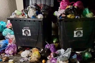 Grămadă mare de deșeuri aruncate ilegal pe domeniul public în Timișoara.