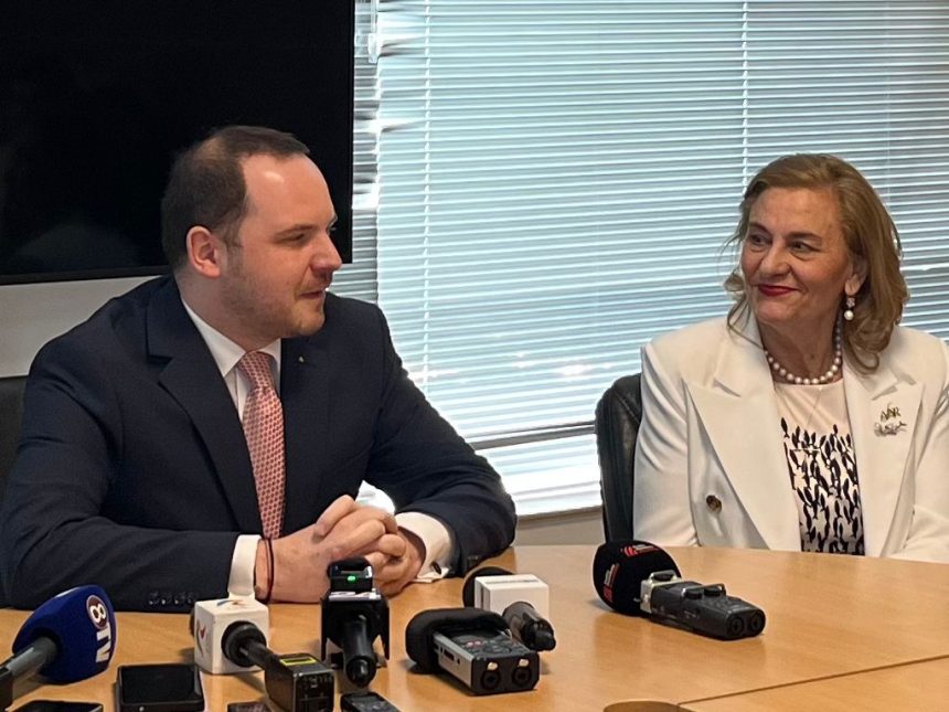 Alexandru Rogobete, ministrul Sănătății, susține o declarație privind reducerea veniturilor din sistemul medical