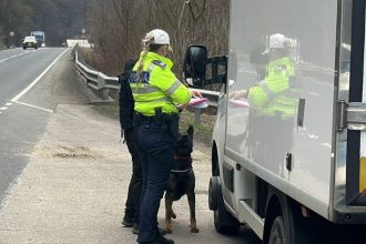 Polițiști din județul Hunedoara efectuând teste de alcoolemie și verificând documentele șoferilor în trafic