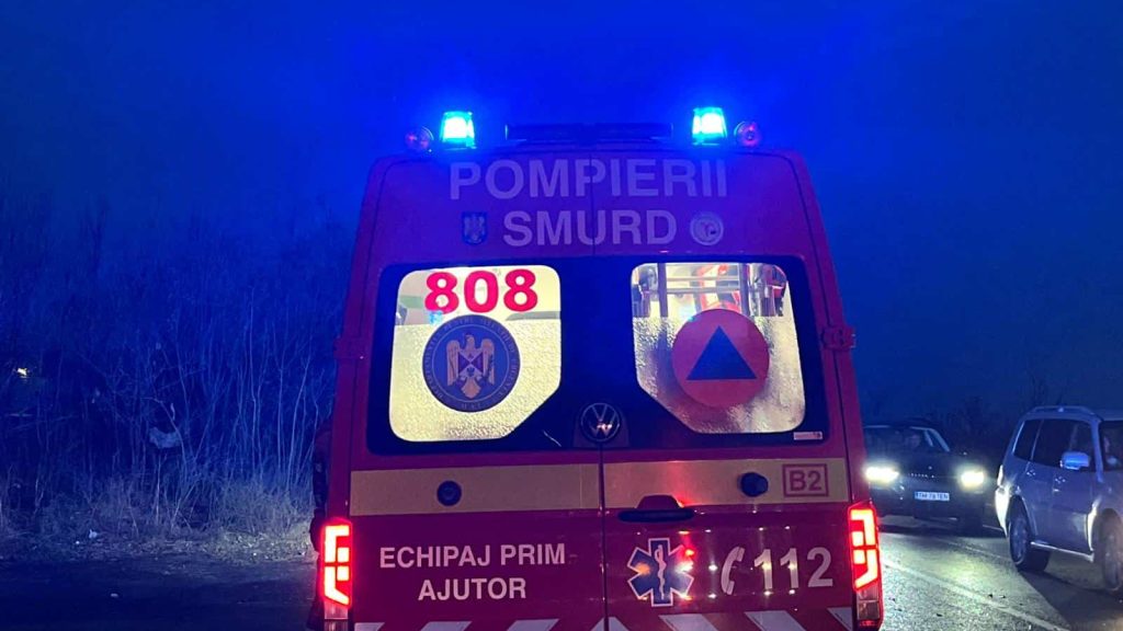Pompierii de la Detașamentul Lugoj intervenind la stingerea unui incendiu izbucnit la o anexă din curtea unei locuințe.