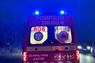 Pompierii de la Detașamentul Lugoj intervenind la stingerea unui incendiu izbucnit la o anexă din curtea unei locuințe.