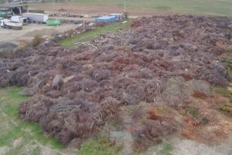 Terenul eliberat va fi transformat în spații dedicate educației și sportului.