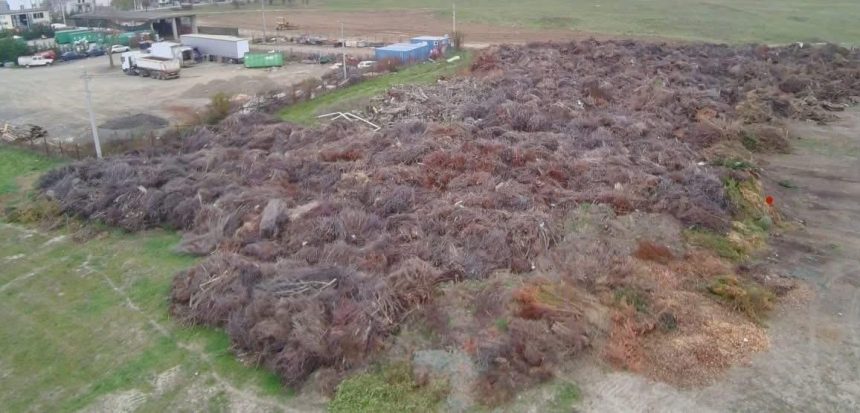 Terenul eliberat va fi transformat în spații dedicate educației și sportului.