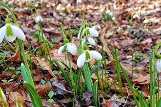 încălzirea vremii în luna martie în România