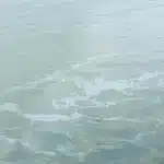 Pată de produse petroliere pe fluviul Dunărea, în zona Moldova Nouă, unde autoritățile au intervenit după o alertă de mediu