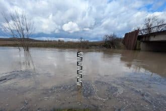 Ministrul Mediului, Diana Buzoianu, impune criterii de performanță la Apele Române.