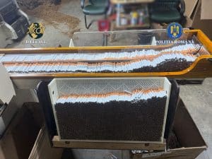 Tone de tutun și utilaje de producție descoperite de DIICOT într-o fabrică ilegală de țigări la periferia municipiului Timișoara.