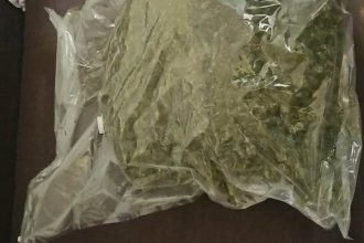 Captură de canabis și bani în urma unui flagrant DIICOT organizat în Timișoara