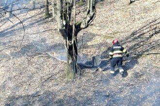 Pompieri militari intervenind pentru stingerea unui incendiu de vegetație uscată în județul Timiș