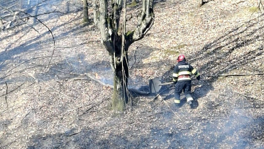 Pompieri militari intervenind pentru stingerea unui incendiu de vegetație uscată în județul Timiș