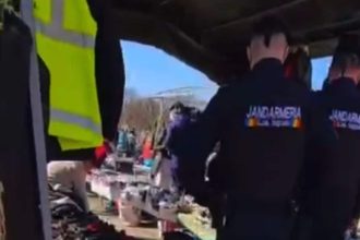 Jandarmi verificând marfă de brand suspectă de contrafacere la o tarabă dintr-o piață din Timișoara.