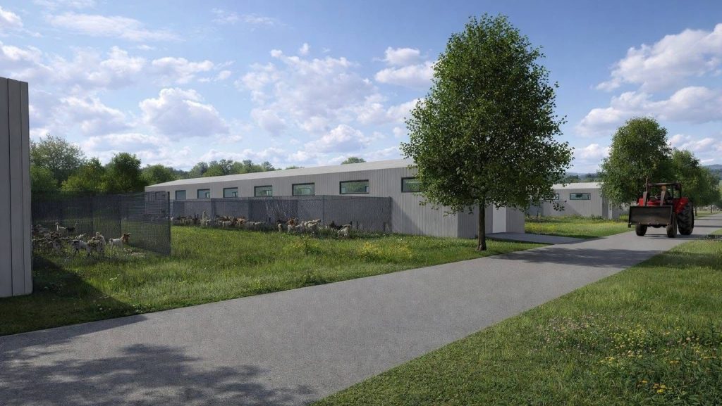 Randare a viitorului adăpost județean de animale din Grabaț, prevăzut cu cabinete veterinare și spații de găzduire conforme normelor UE.