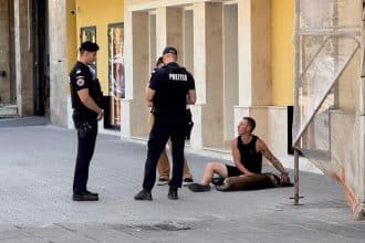 Patrulă a Poliției Române efectuând verificări privind deținerea câinilor periculoși și agresivi în județul Timiș.