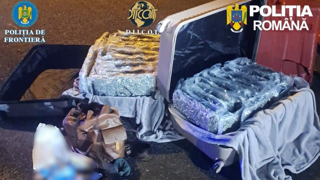 Cele 31 de pungi cu canabis descoperite de polițiștii de frontieră în bagajele unui cetățean italian, la intrarea în România.