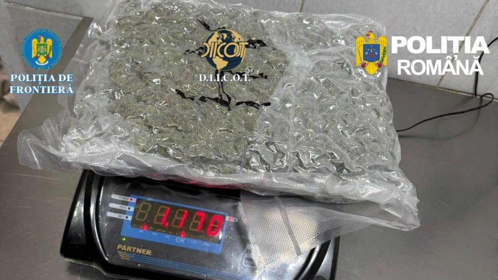 Cele 31 de pungi cu canabis descoperite de polițiștii de frontieră în bagajele unui cetățean italian, la intrarea în România.