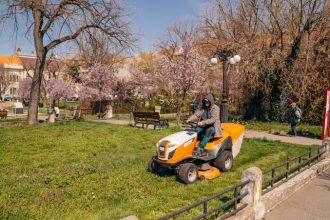 Horticultura ar putea îngriji centrul și arborii din Timișoara timp de 4 ani