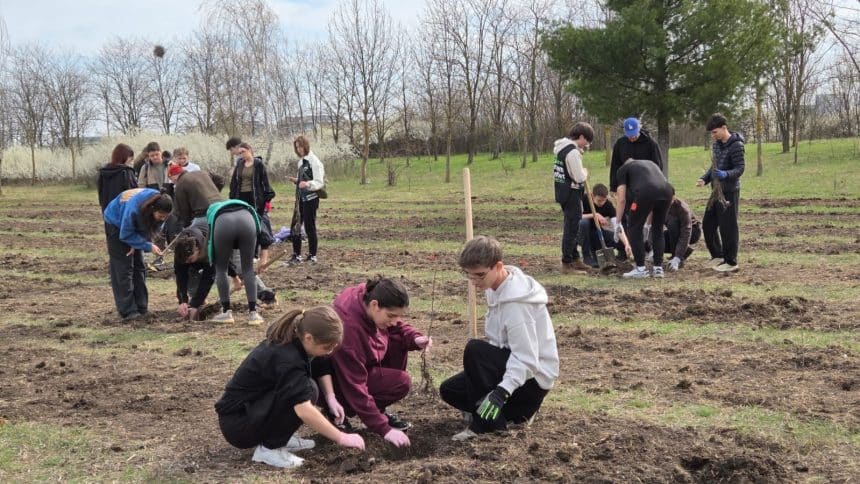 Elevi de la Colegiul Național C.D. Loga plantând puiet de stejar și frasin în zona Torontalului, Timișoara
