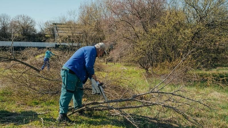 Echipe de salubritate curățând un teren de 2 hectare lângă Lacul Balaurul din Timișoara pentru transformarea în zonă de recreere.