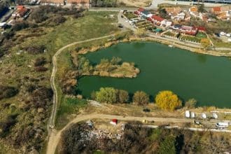Echipe de salubritate curățând un teren de 2 hectare lângă Lacul Balaurul din Timișoara pentru transformarea în zonă de recreere.