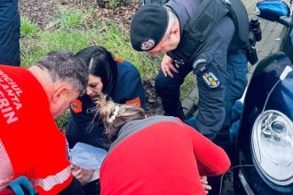 jandarm Timisoara resuscitare