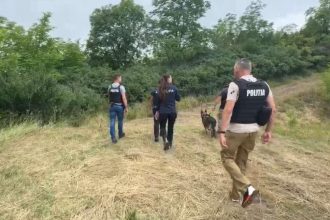 jaf seif Carpinis Timis