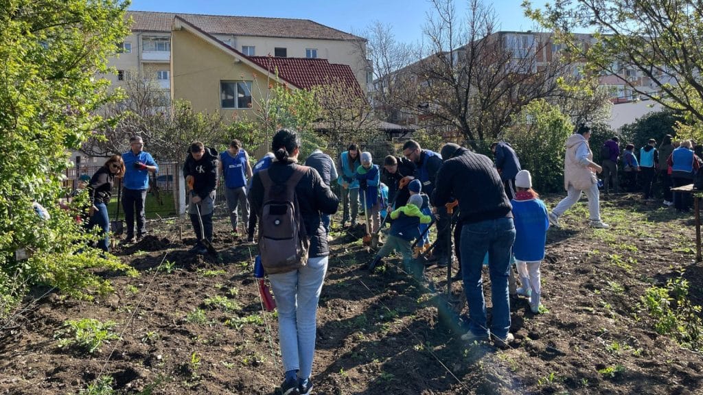 Sute de cetățeni din Timișoara plantând puieți și plante perene pe un fost teren degradat din cartierul Bucovina.